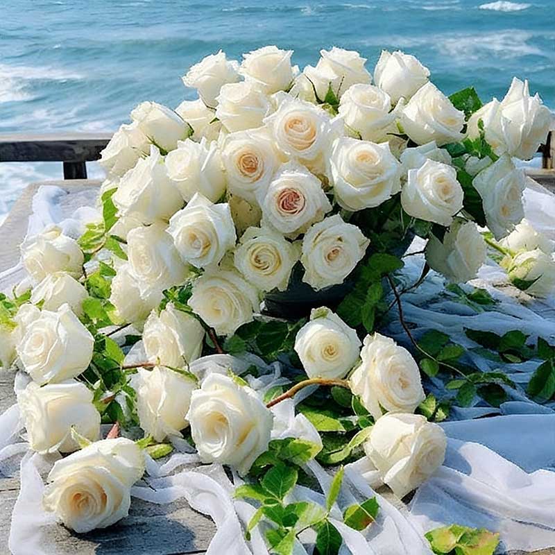 Rose flower Seeds | 500pcs Per Bag