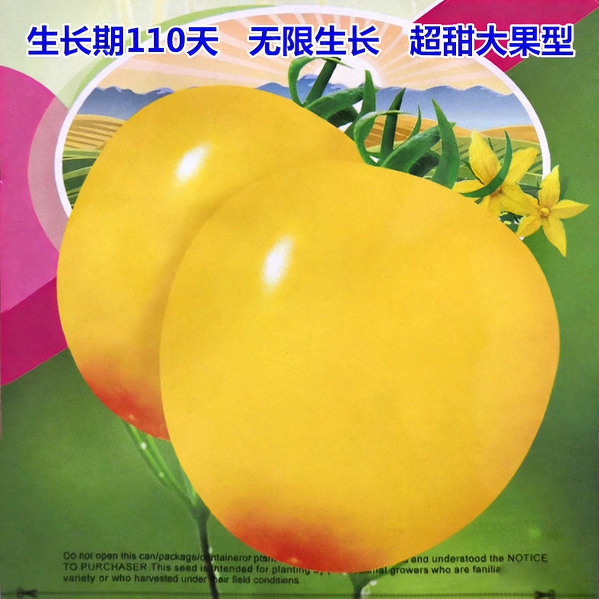 Tomato seeds | 50-200 Pcs per Pack