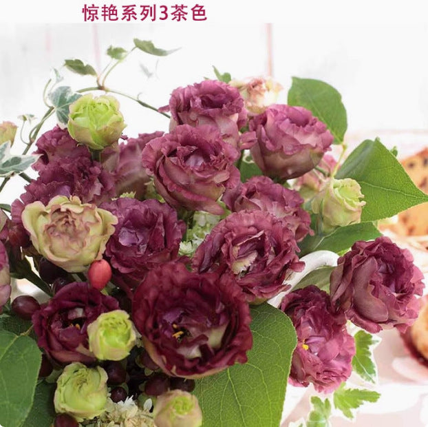 Rose flower seeds | 200 Pcs per Pack