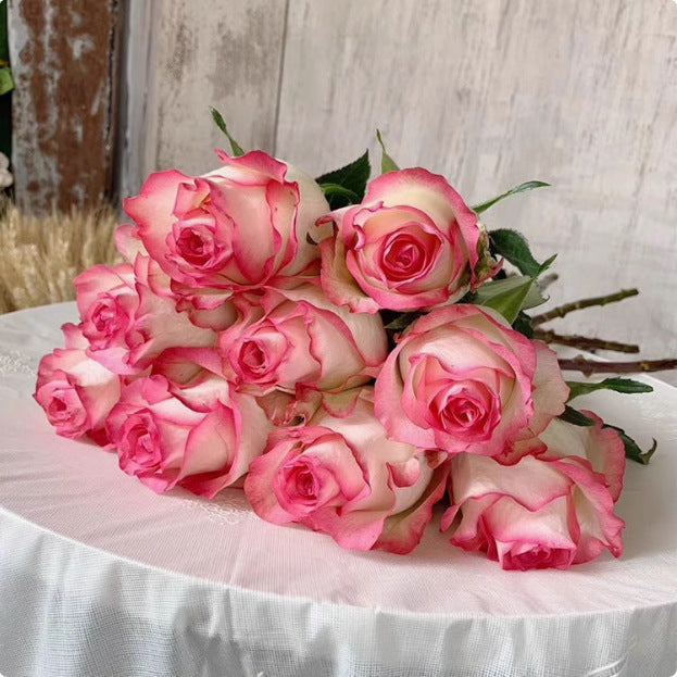 Rose flower seeds | 200 Pcs per Pack