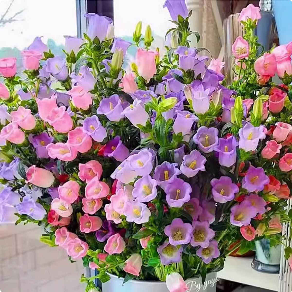 Wind chime flower seeds | 1000 Pcs per Pack