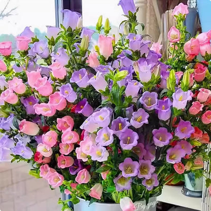 Wind chime flower seeds | 1000 Pcs per Pack