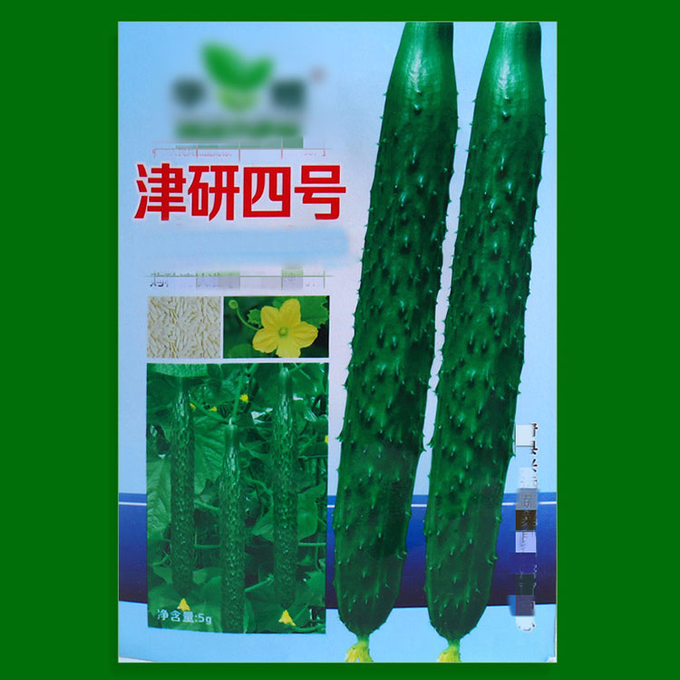 vegetable seeds